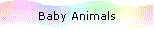 Baby Animals