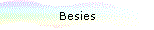 Besies