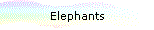 Elephants