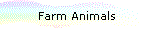 Farm Animals