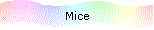 Mice