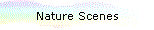 Nature Scenes
