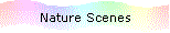 Nature Scenes