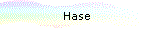 Hase