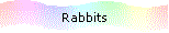 Rabbits