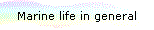 Marine life in general