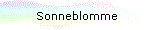 Sonneblomme