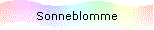Sonneblomme