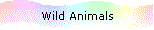 Wild Animals
