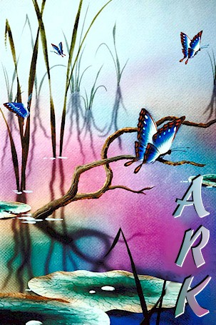 The design,&nbsp;support and web space for this site are sponsored by ARK Web Design