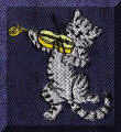 Cool Creations Embroidery Designs - Cats and kittens, Cat with fiddle