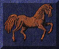 Cool Creations Embroidery Designs - Horse
